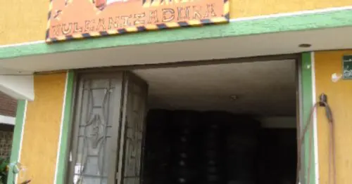 MONTALLANTAS TAZ MANIA MONTALLANTAS TAZ MANIA